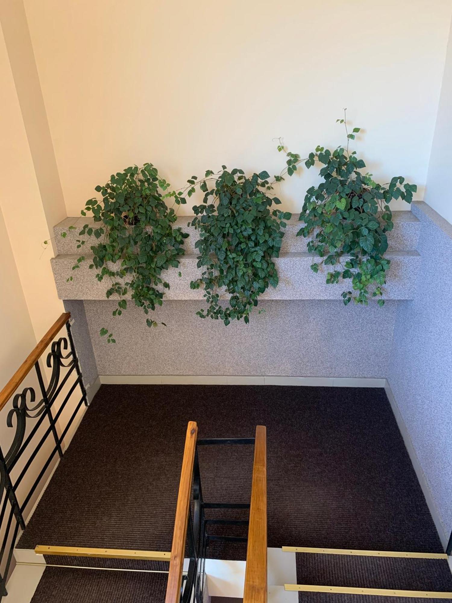Hostel Iskra Lviv Exterior photo